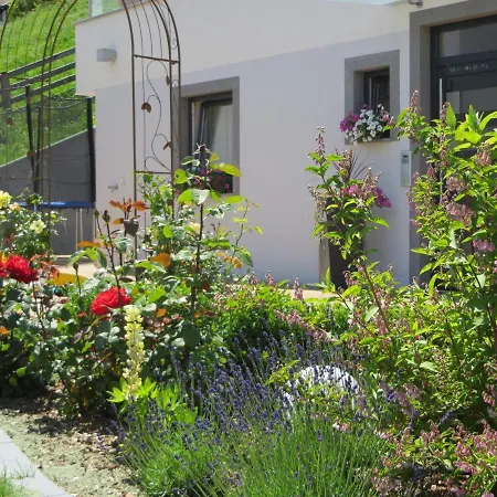 Sunshine Apartamento