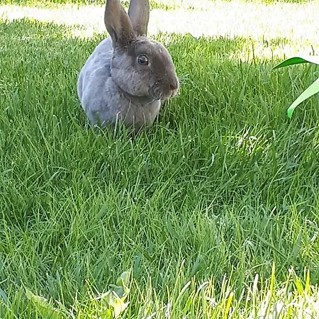 アパート Sunshine